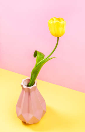 One bright yellow tulip in art vase on pastel two tone yellow-pink background. Creative minimal floral concept. Valentine's day, Mother's day, March 8th greeting card. vertical orientation.の写真素材