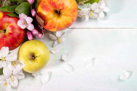 Apples and flowers of Apple tree close up on light wooden table. apple save. apple day. view from above. Copy space for text. horizontal orientation.の写真素材