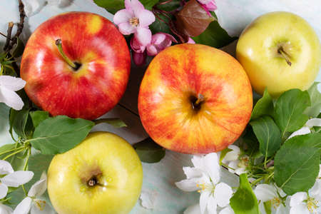 Ripe whole apples and pink and white Apple tree flowers close up. apple save. apple day. view from...