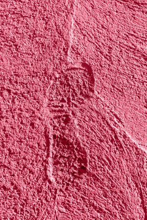 Top view to imprint of one left human foot in shoes hardened in concrete. Creative trendy toning in...