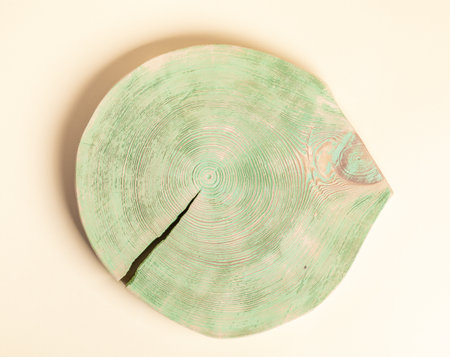 Round with crack brushed and painted in green color wooden cross section of pine tree without bark with beautiful pattern of annual rings on pastel light yellow. nature details. horizontal format.の写真素材