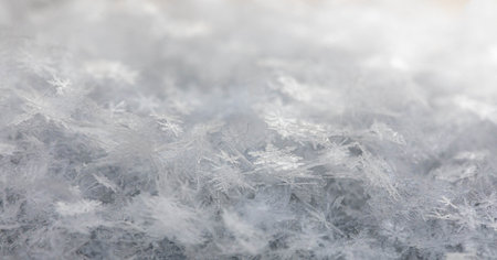 Snowy winter background. Beautiful snowflakes close up. Beauty in nature. Wonderful nature details....