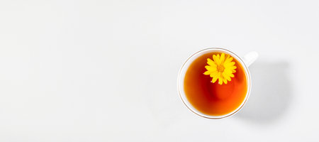 White cup of healthy marigold tea with one fresh flower on white background with copy space. This beverage is antispasmodic, choleretic, soothing. Top view. Banner.の写真素材