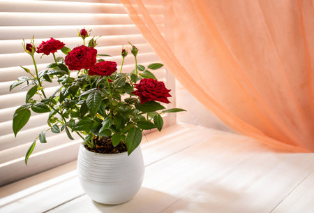 Red roses in a white pot are beautifully arranged on a wooden table, illuminated by soft sunlight filtering through blinds, creating a warm and inviting atmosphere in the roomの写真素材