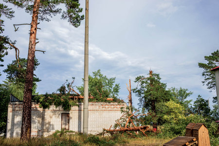 Damaged structure in a forest setting, surrounded by fallen trees and debris from a recent hurricane, highlighting the impact of severe weather on the natural environment and human structuresの写真素材