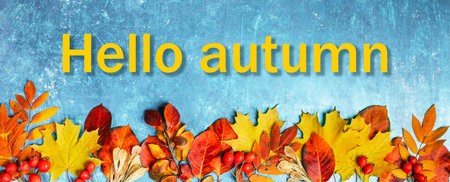 Vivid autumn banner with colorful leaves in shades of red, orange, and yellow are arranged along the bottom of textured blue background with seasonal greeting Hello autumnの写真素材