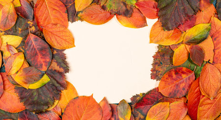 Flat lay of colorful autumn leaves in vibrant shades of orange, red, and yellow create circular...