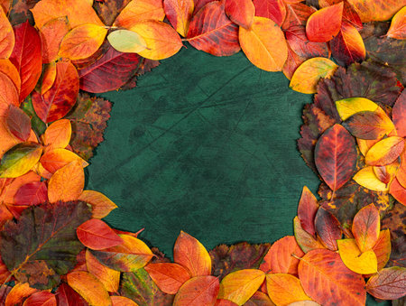 Colorful autumn leaves in shades of red, orange, and yellow create a natural frame around dark green...