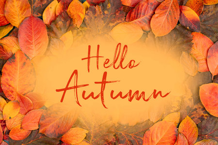 Colorful autumn leaves in vibrant shades of orange, red, and yellow surround a warm greeting message Hello autumn, creating a cozy atmosphere that captures the essence of the fall seasonの写真素材