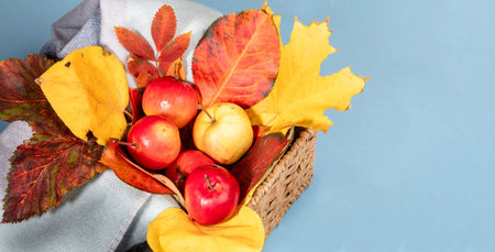 Fresh apples in red and yellow hues nestled among vibrant autumn leaves, displayed in woven basket,...