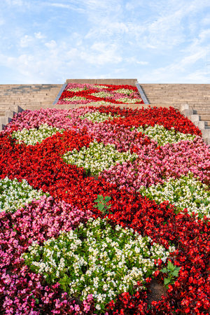 Vibrant flower garden featuring a stunning array of colorful blooms cascading down stone steps, creating a picturesque scene filled with natural beauty and tranquilityの写真素材