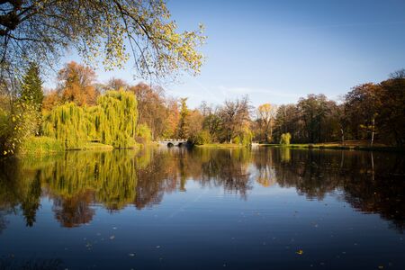Colorful foliage in the autumn park
