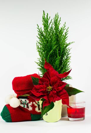 Christmas Decorations - Christmasの写真素材