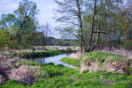 riverの写真素材