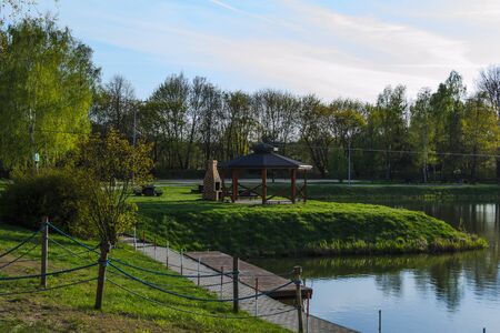 Pond in spring colorの写真素材