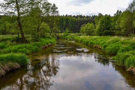 A small river waving among them