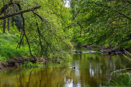 River in central Poland.の写真素材