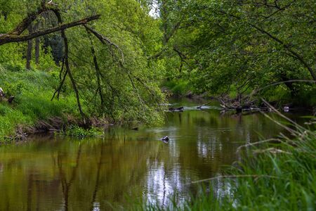 River in central Poland.