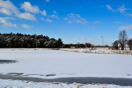 The forest is covered with white snowの写真素材