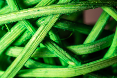 Green background for graphics