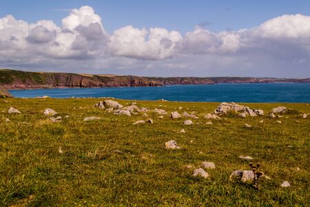 Welsh coast on a summer holiday day.の写真素材