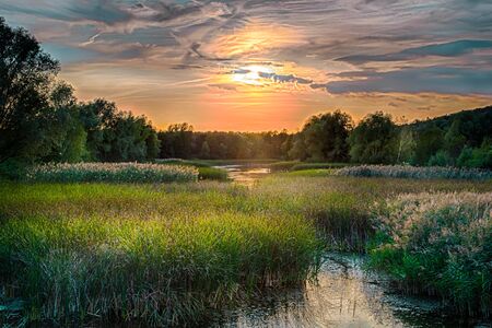 Sunset in the city park at the end of summer.の写真素材