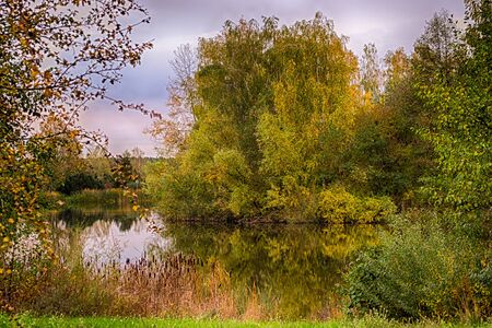 Poland golden autumn in the forest, landscape with colors illuminated by the setting sun.の写真素材