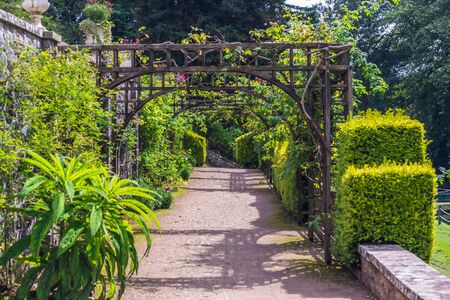 A beautiful park in the city of Cardiff, Wales.の写真素材