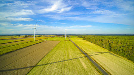 Wind farm surrounded by blooming rapeseed.