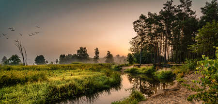 Mysterious River Grabia in summer day, Polandの写真素材