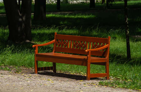 Bench and litter bin in city park, Poland