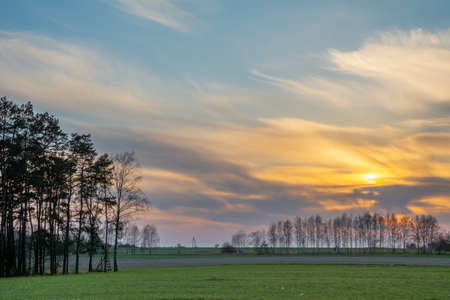 Sunset illuminating the spring fields.の写真素材