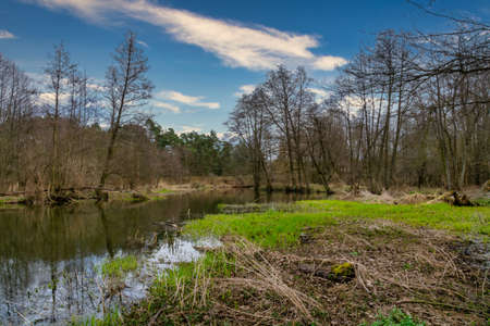 Fishing on the small river Grabia in the center of Poland.