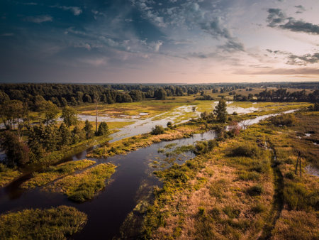Flight over the small river in the center of Poland.