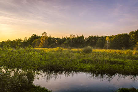 Autumn colors in sleepy nature, Poland.