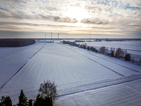 Winter weather in central Poland, a sad and nostalgic landscape.の写真素材