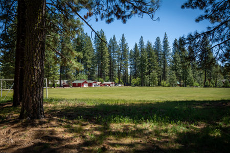 Historic wooden and colorful houses in California.の写真素材