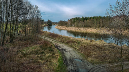Widawka river in spring day, Poland.