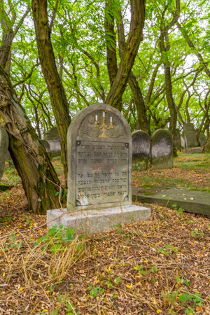 Very old and abandoned Jewish cemetery, Zdunska Wola, Poland.の写真素材