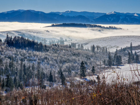 Winter in the Slovak Tatra Mountains full of snow.の写真素材