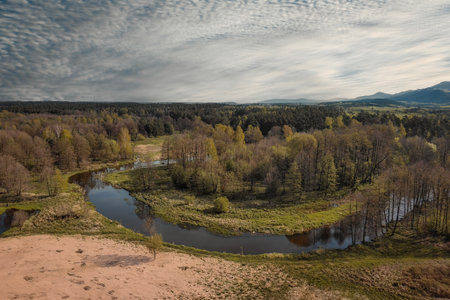 Aerial view of the river and forest in spring, Poland.