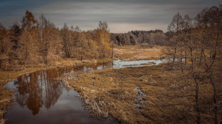 Autumn landscape with a small river in the forest. Russia.