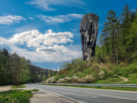 Hercules' Club in OjcÃ³w National Park, Poland.の写真素材