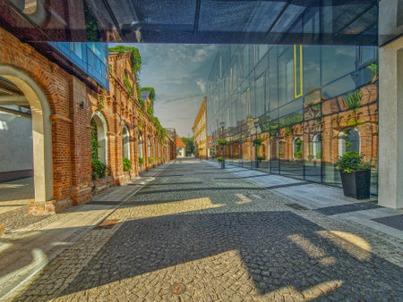 Castle and old town in Pabianice, Poland.の写真素材
