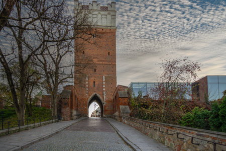 The city of Sandomierz with its churches, town hall and castle shown from above.の写真素材