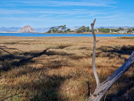 Morro Bay is a city in the United States, in the state of California.の写真素材