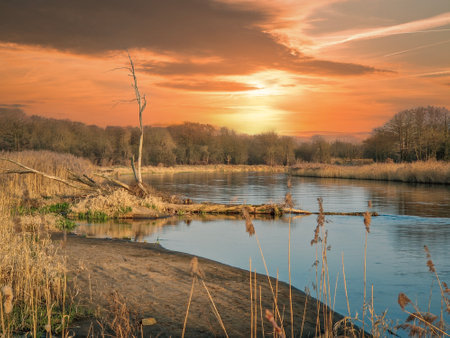Sunset over a river with trees in the foreground and a cloudy skyの写真素材