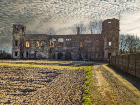 Ruins of Tarlow Palace in Podzamcze Piekoszowskie, Poland.の写真素材
