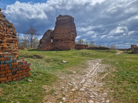The ruins of the Bobrowniki Castle on the Vistula River, Poland.の写真素材