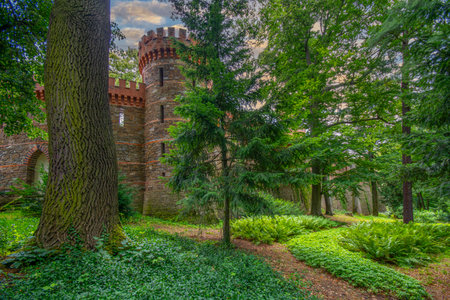 Kamieniec Zabkowicki and its unique palace.の写真素材